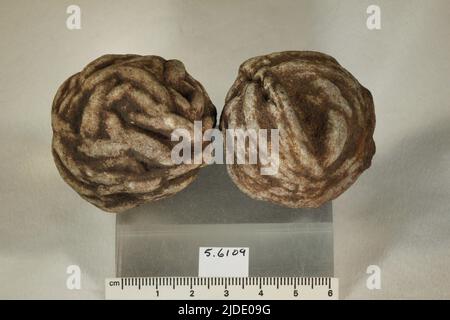 Barit. Mineralien. Nordamerika; USA; Kansas; Saline County; Salina Stockfoto