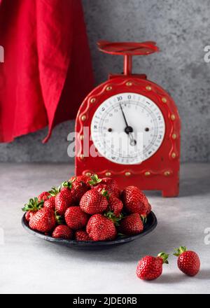 Frisch gepflückte Erdbeeren aus dem Garten auf Vintage-Schuppen Schale bereit zum Backen von Kuchen oder bereiten süße Marmelade. Stockfoto