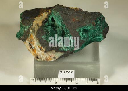 Malachit. Mineralien. Nordamerika; USA; Arizona; Pima County; Tucson Stockfoto