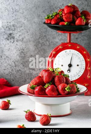 Frische Bio-Erdbeeren in einer Emaille-Platte und vintage rote Schuppen auf dem Hintergrund bereit zum Kochen. Gesundes hausgemachtes Lebensmittelkonzept. Speicherplatz kopieren. Stockfoto
