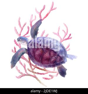 Meeresschildkröte auf Korallen Hintergrund, Mischtechnik Aquarell Illustration Stockfoto