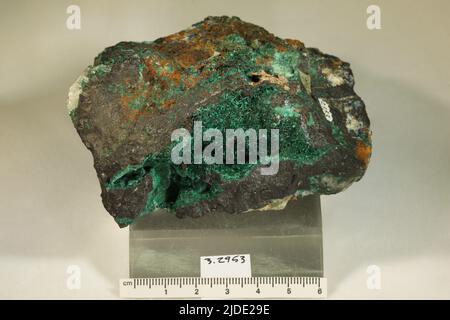 Malachit. Mineralien. Nordamerika; USA; Arizona Stockfoto