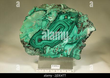 Malachit. Mineralien. Afrika, Simbabwe Stockfoto