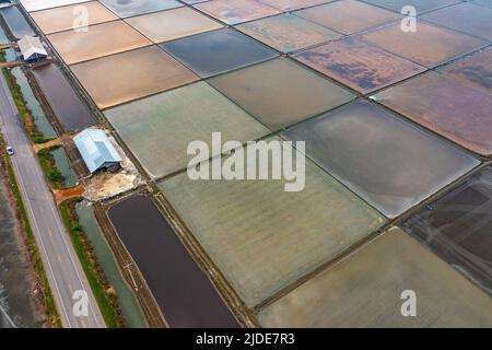 Luftaufnahme von Salzfarmen in der Provinz Phetchaburi, Thailand Stockfoto