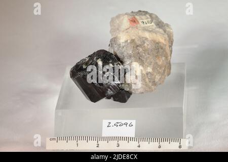 Turmalin. Mineralien. Nordamerika; USA; Maine; East Woodstock Stockfoto