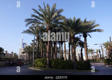 Dubai, VAE 20. Februar 2020: Das luxuriöseste Hotel der Welt. Segeln Stockfoto