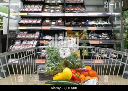 London, Großbritannien, 20. Juni 2022: Ein Einkaufswagen mit Lebensmitteln in einer Filiale von Sainsbury's. Die Lebenshaltungskosten-Krise bereitet vielen Menschen echte Schwierigkeiten und die Inflationsrate wird voraussichtlich bis zum Herbst dieses Jahres auf 11 % ansteigen, was auf den Brexit, den Krieg in der Ukraine und die nachträgliche Krise zurückzuführen ist. Anna Watson/Alamy Live News Stockfoto