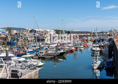 Kilkeel, County Down, Großbritannien. An einem Tag voller Sonnenschein und Hochs im Jahr 20C war Kilkeel Harbour eine geschäftige Stadt. Kilkeel Harbour ist einer der größten Fischereihäfen auf der Insel Irland. Quelle: AG News/Alamy Live News Stockfoto