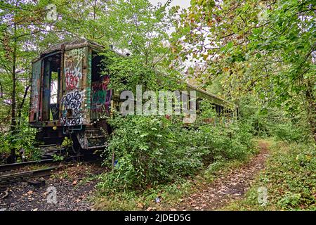 Train Car verlassen mit Graffiti und isoliert auf dem Delaware River Canal Towpath in Lambertville, NJ von New Hope Pa. USA. Freigabe beigefügt. Stockfoto