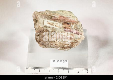 Turmalin. Mineralien. Nordamerika; USA; Maine; Oxford County; Hebron Stockfoto