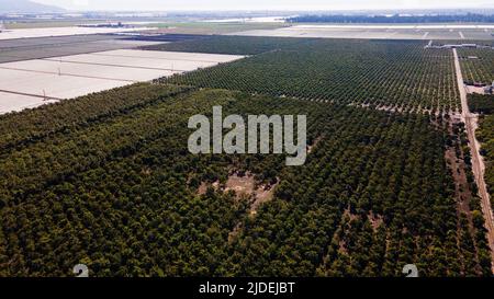 Oxnard California USA Stockfoto