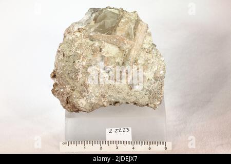 Turmalin. Mineralien. Nordamerika; USA; Maine; Oxford County; Hebron Stockfoto