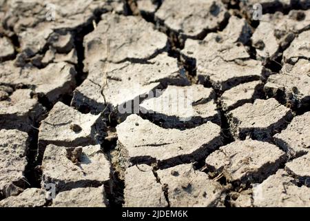 Nahaufnahme des mosaikartigen Musters, das in nassem Boden oder Erde entsteht, wenn es trocknet, Risse aufweist und sich in der Hitze der Sonne spaltet. Stockfoto