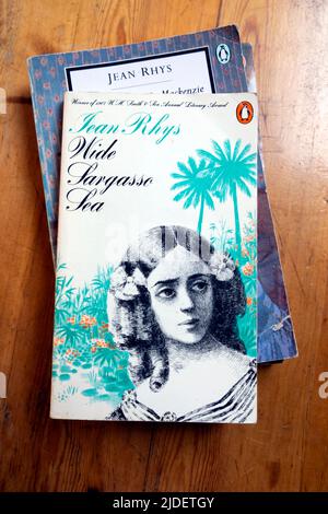 Jean Rhys weibliche britische Autorin Buchcover Wide Sargasso Sea KATHY DEWITT Stockfoto