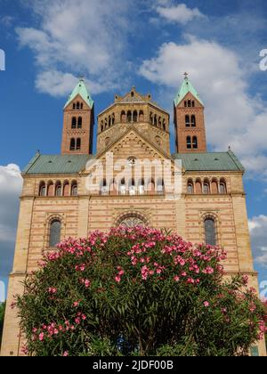 Die Stadt os speyer in deutschland Stockfoto