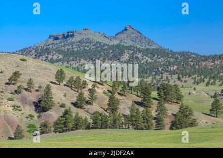 coburn Mountain in der Nähe von craig, montana Stockfoto