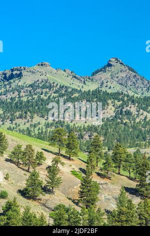 coburn Mountain in der Nähe von craig, montana Stockfoto