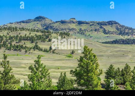 coburn Mountain in der Nähe von craig, montana Stockfoto