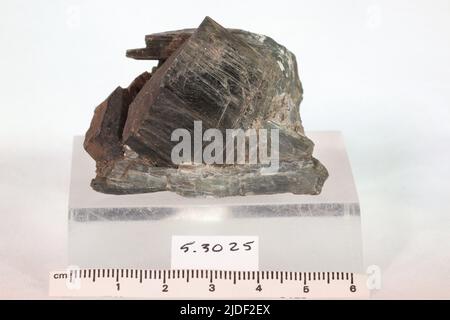 Amphibol. Mineralien. Nordamerika; USA; New York; Saint Lawrence County; Edwards Stockfoto