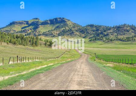 Backroad zum coburn Mountain in der Nähe von craig, montana Stockfoto