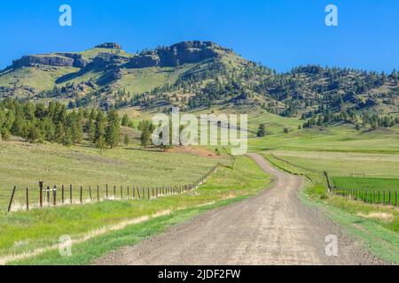 Backroad zum coburn Mountain in der Nähe von craig, montana Stockfoto