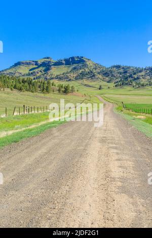 Backroad zum coburn Mountain in der Nähe von craig, montana Stockfoto