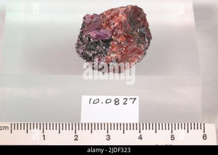 Korund. Mineralien. Afrika; Tansania; Dodoma-Region; Mpwapwa-Bezirk; Winza; Cash Money Mine Stockfoto