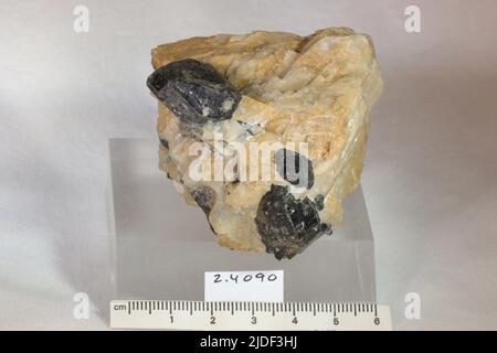 Amphibol. Mineralien. Nordamerika; USA; New Jersey; Sussex County; Franklin; Franklin Furnace Stockfoto