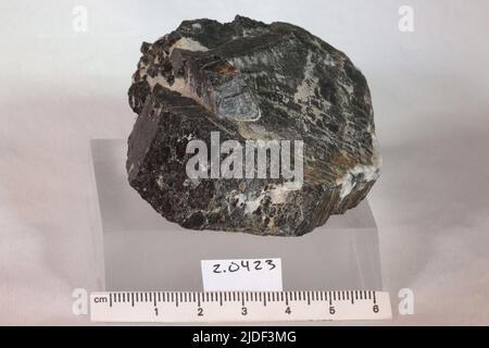 Amphibol. Mineralien. Nordamerika; USA; New York; Orange County; Edenville Stockfoto