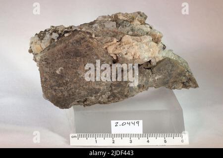Amphibol. Mineralien. Nordamerika; USA; New York; Orange County; Edenville Stockfoto