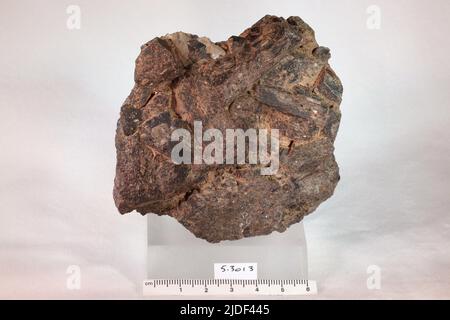 Amphibol. Mineralien. Nordamerika; USA; New York; Orange County; Warwick Stockfoto