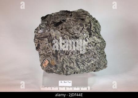 Amphibol. Mineralien. Nordamerika; USA; New Hampshire; Grafton County; Franken Stockfoto