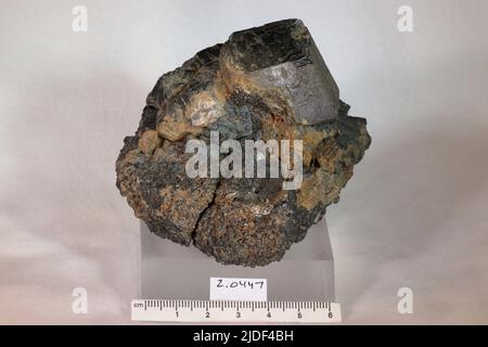 Amphibol. Mineralien. Nordamerika; USA; New York; Orange County; Edenville Stockfoto