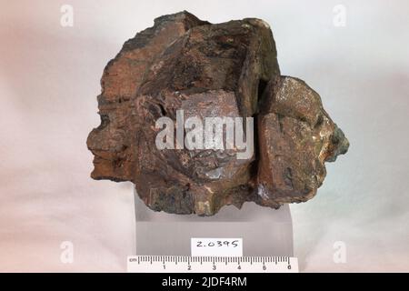 Amphibol. Mineralien. Nordamerika; USA; New Jersey; Sussex County; Ogdensburg Stockfoto