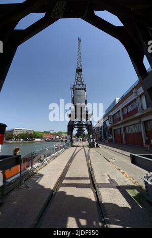 Kraniche am Hafen, Prince's Wharf, schwimmender Hafen, Bristol. Stockfoto