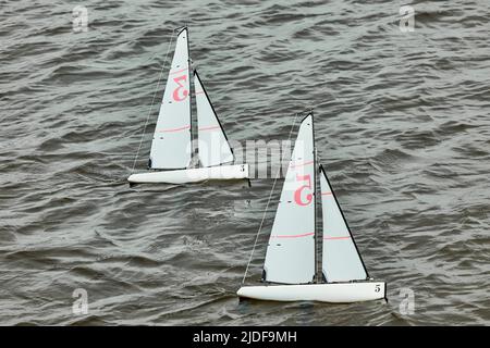 Kleine funkgesteuerte Segelboote, die auf dem Wasser segeln, Bootsnummern auf den Segeln Stockfoto