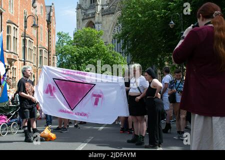 York Pride Parade. Banner mit Text Befreiung Assimilation und invertierte rosa Dreieck bilden Wort nicht Stockfoto