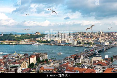 Istanbul Panorama mit Galata Brücke und Möwen, Skyline mit Golden Horn Meerenge Stockfoto