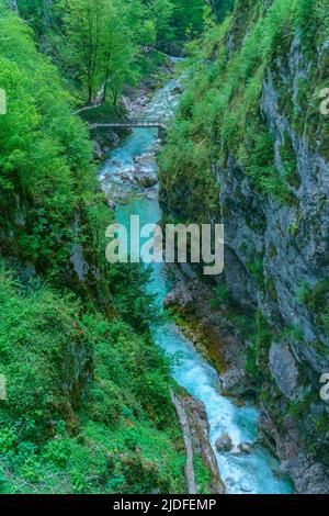 Der wunderschöne smaragdgrüne Fluss Soca in der Mitte des triglav Nationalparks, Slowenien Stockfoto