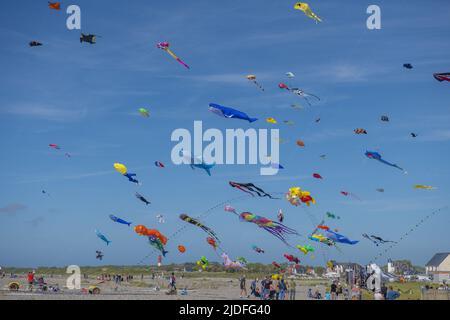 Cerf volants et Festival à Cayeux sur mer, les cabines au Bord de l'Eau Stockfoto