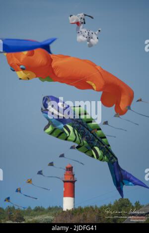 Cerf volants et Festival à Cayeux sur mer, les cabines au Bord de l'Eau Stockfoto