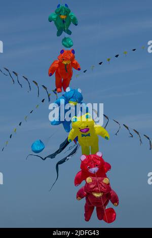 Cerf volants et Festival à Cayeux sur mer, les cabines au Bord de l'Eau Stockfoto