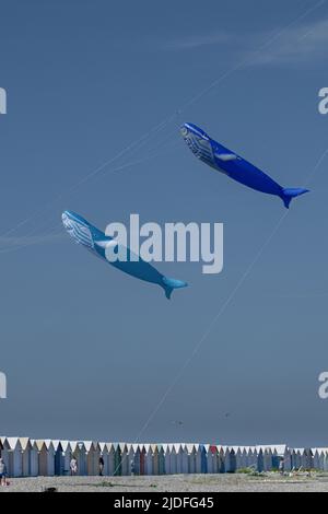 Cerf volants et Festival à Cayeux sur mer, les cabines au Bord de l'Eau Stockfoto