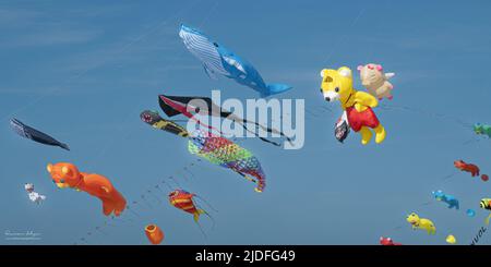 Cerf volants et Festival à Cayeux sur mer, les cabines au Bord de l'Eau Stockfoto