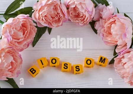 Nahaufnahme der pinken Pfingstrosen auf dem weißen Holzschreibtisch. Gelbe Buchstabenwürfel in Blütenwort angeordnet. Stockfoto