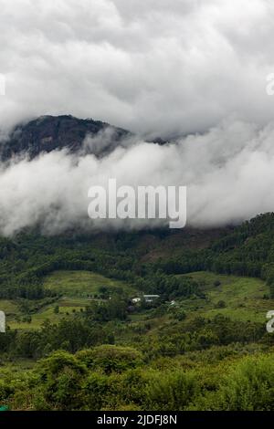 Schöne Aussicht auf die Straße von tief bewegenden Wolken, Grün und Berglandschaft in Munnar, Kerala, Indien Stockfoto