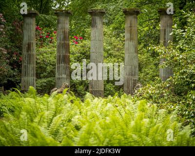 Dorische Säulen und steinerne Löwen, mit Federockenfarnen im Vordergrund. Harlow Carr Gardens, Harrogate. North Yorkshire. VEREINIGTES KÖNIGREICH. Stockfoto