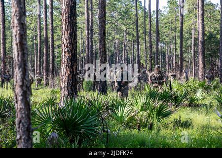 US Army Georgia Army National Guard Soldaten mit der in Griffin ansässigen Alpha Company, 2. Bataillon, 121 Infantry Regiment, 48. Infantry Brigade Combat Team, führen während der 48. IBCT's Exportable Combat Training Capability Übung in Fort Stewart, Georgia, am 19. Juni 2022 einen demontierten Hinterhalt auf einem leichtgepanzerten Konvoi. XCTC ist das Rekordprogramm der US Army National Guard, das es Brigadekampfteams ermöglicht, die geschulte Bereitschaft des Zuges zu erreichen, die für den Einsatz, Kampf und Sieg von Schlachten auf der ganzen Welt erforderlich ist. Die XCTC-Übung wird etwa 4.400 Brigademitarbeiter von bis umfassen Stockfoto
