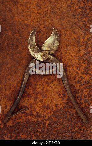 Ein paar alte, gut benutzte, aber gepflegte Gartenschere, die offen auf rostigen Metallblechen liegt Stockfoto