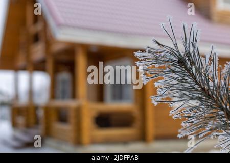 Nahaufnahme von kleinen Zweig der Tanne mit Reif im Vordergrund und riesige Holz Landhaus im Hintergrund bedeckt. Sich im Land ausruhen Stockfoto